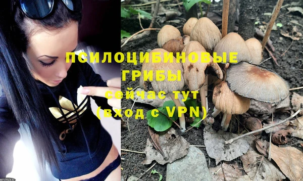марихуана Вяземский